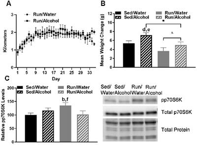 The Influence of Moderate Physical Activity on Brain Monoaminergic Responses to Binge-Patterned Alcohol Ingestion in Female Mice